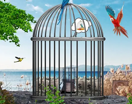 Instagram Editing Background