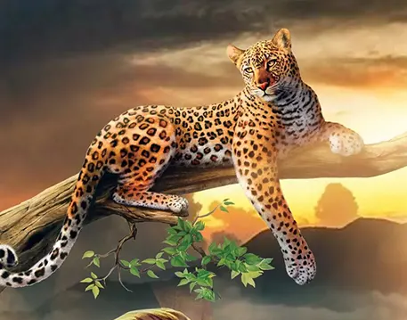 PicsArt Editing Background