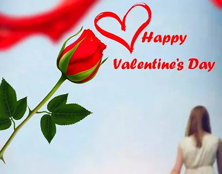 Valentine's Day Editing Background